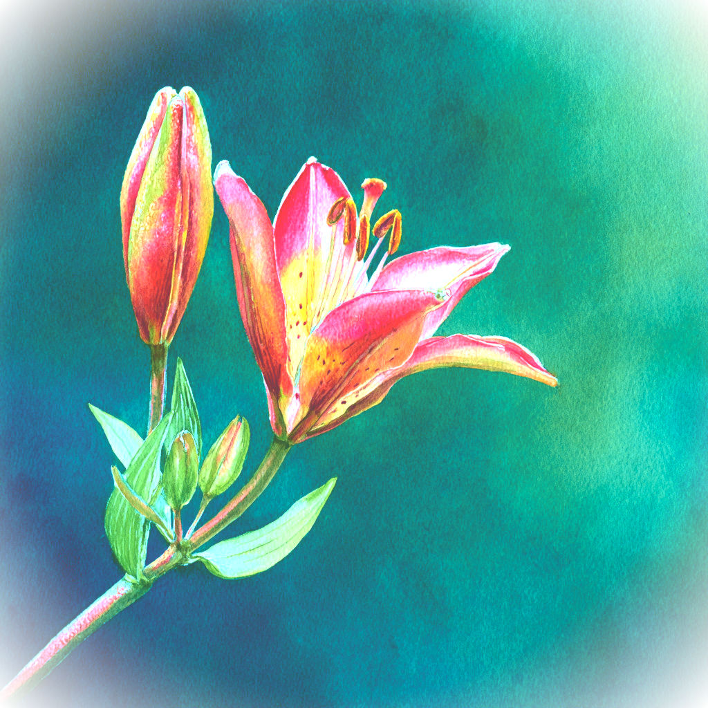 Music release in March 2026